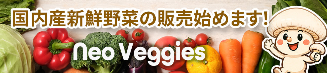 ネット販売始めました